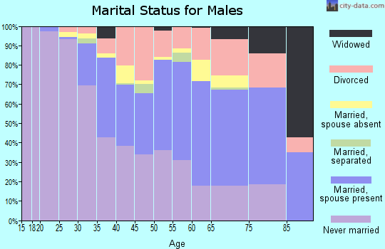 Zip code 19802 marital status for males