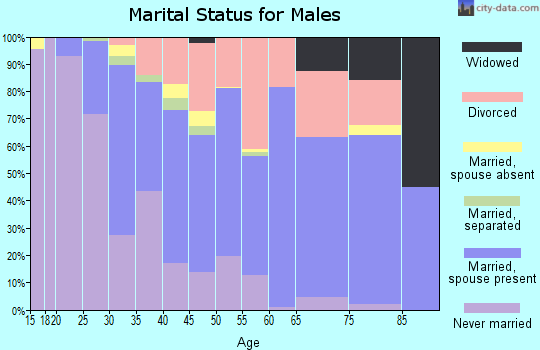 Zip code 19804 marital status for males