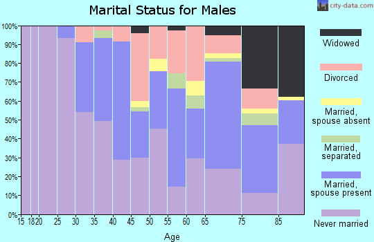 Zip code 19806 marital status for males