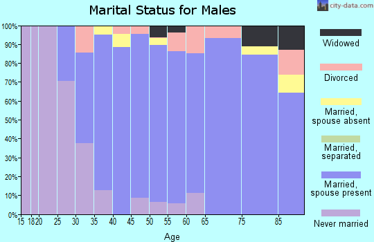 Zip code 19807 marital status for males