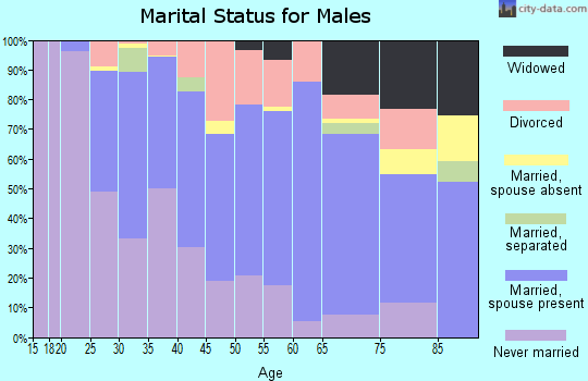 Zip code 19809 marital status for males