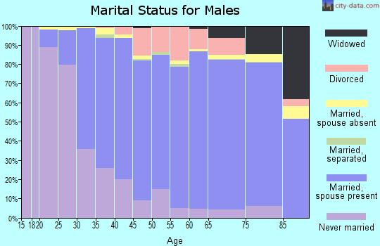 Zip code 19810 marital status for males