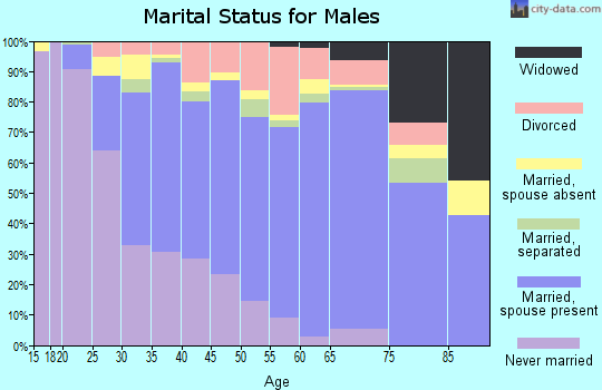 Zip code 19904 marital status for males