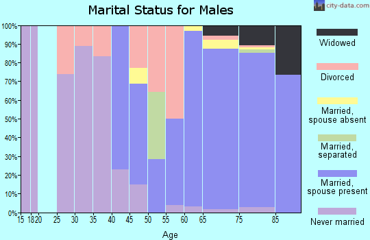 Zip code 19930 marital status for males