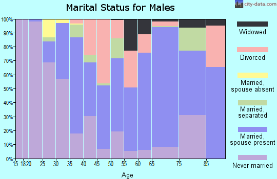 Zip code 19933 marital status for males