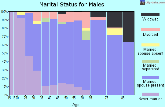 Zip code 19934 marital status for males