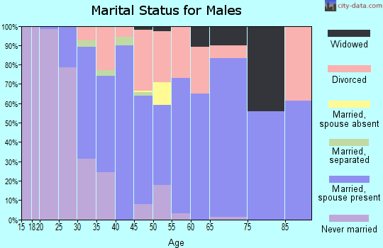 Zip code 19938 marital status for males
