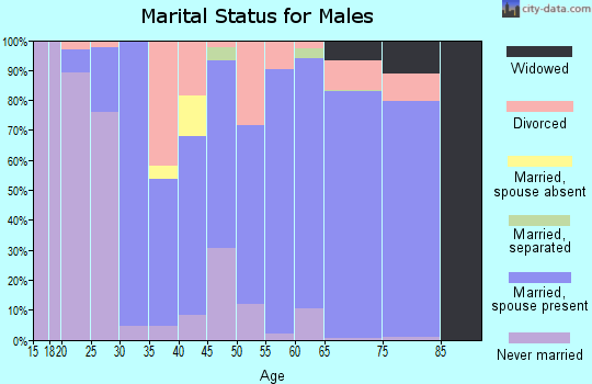 Zip code 19939 marital status for males