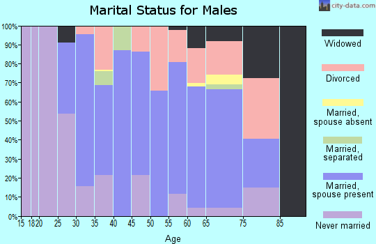 Zip code 19940 marital status for males