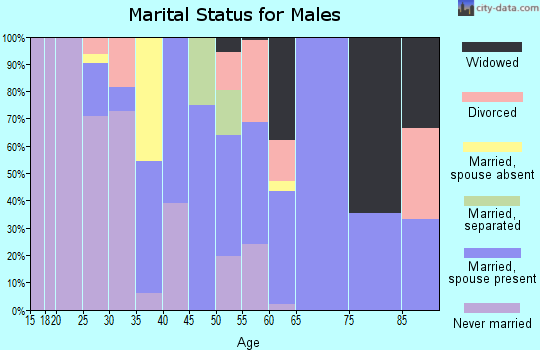 Zip code 19941 marital status for males