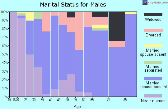 Zip code 19943 marital status for males
