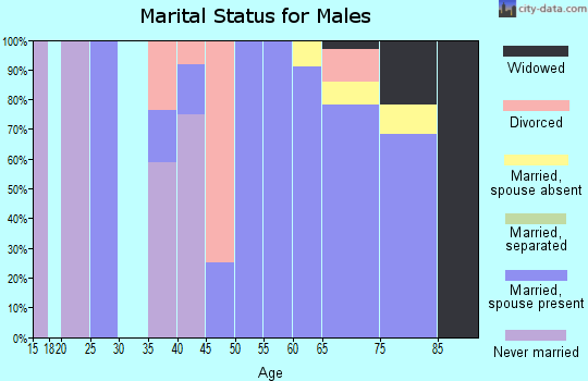 Zip code 19944 marital status for males