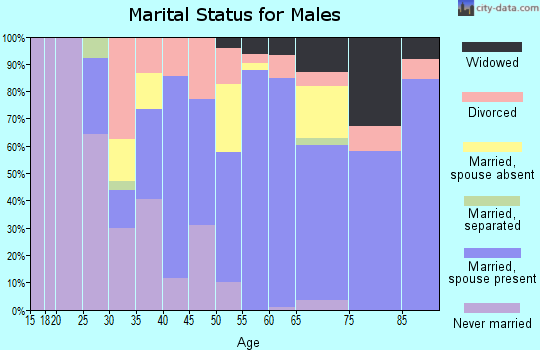 Zip code 19945 marital status for males