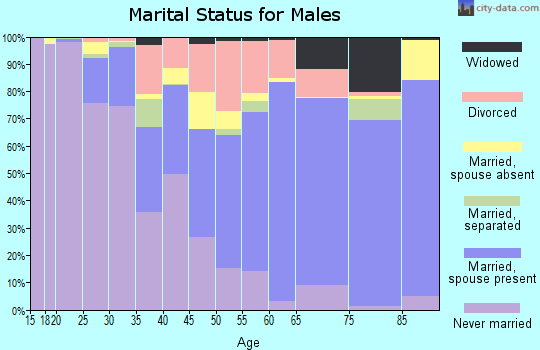 Zip code 19947 marital status for males