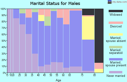 Zip code 19950 marital status for males