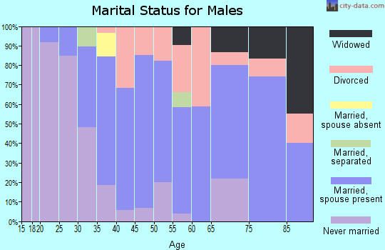 Zip code 19952 marital status for males