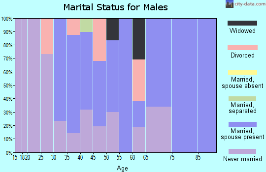 Zip code 19954 marital status for males