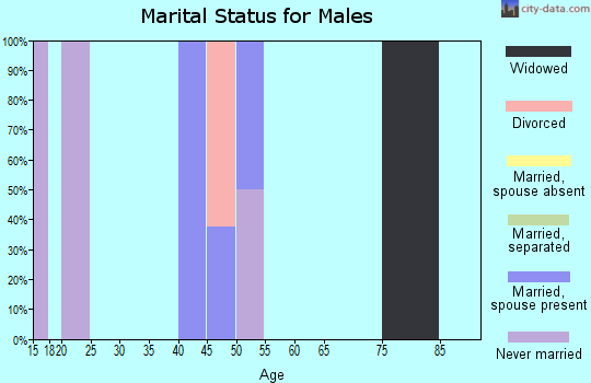 Zip code 19955 marital status for males