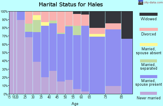 Zip code 19956 marital status for males