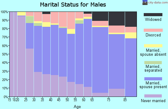 Zip code 19958 marital status for males