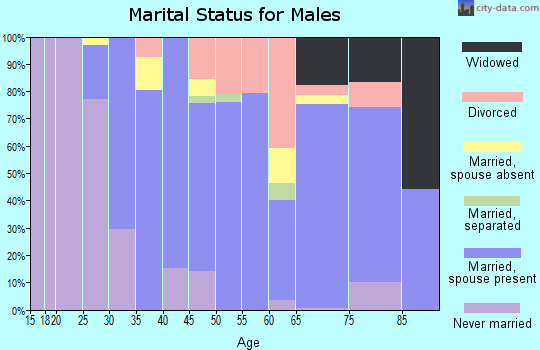 Zip code 19962 marital status for males