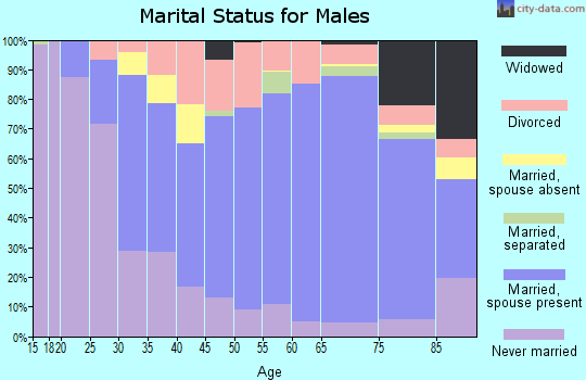 Zip code 19963 marital status for males