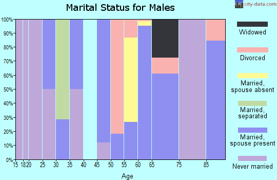 Zip code 19967 marital status for males