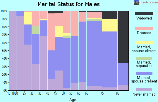 Zip code 19968 marital status for males
