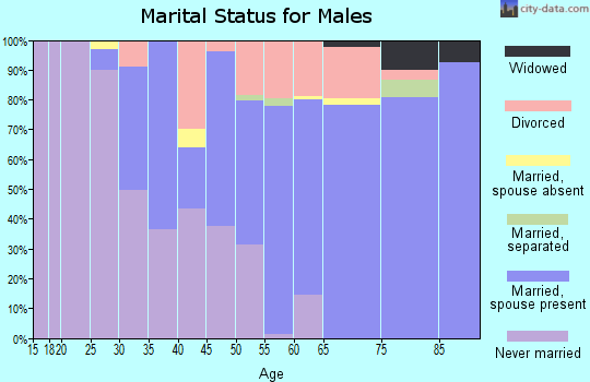 Zip code 19970 marital status for males