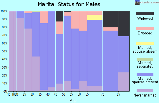 Zip code 19975 marital status for males
