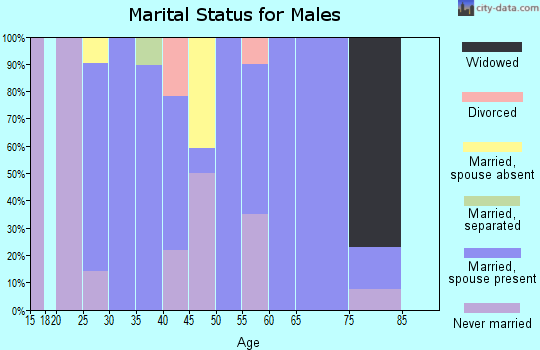 Zip code 19979 marital status for males