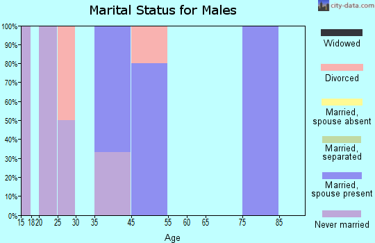 Zip code 19980 marital status for males