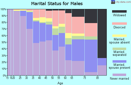 Zip code 20002 marital status for males