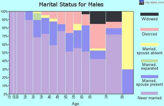 Zip code 20005 marital status for males