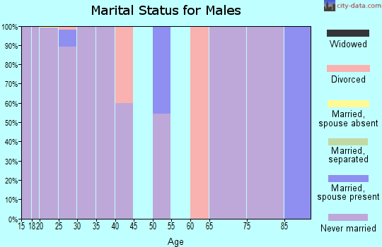 Zip code 20006 marital status for males