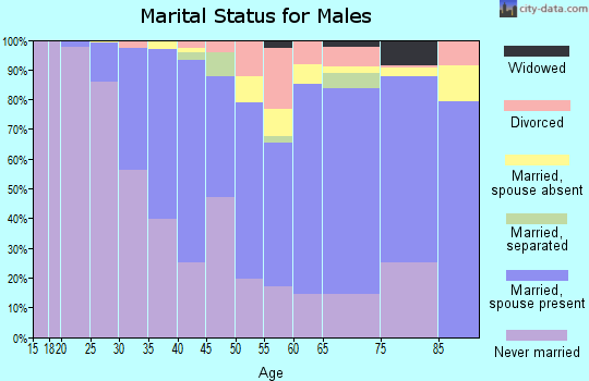 Zip code 20007 marital status for males