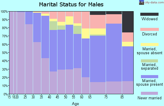 Zip code 20008 marital status for males