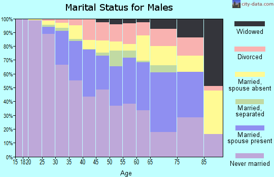 Zip code 20010 marital status for males