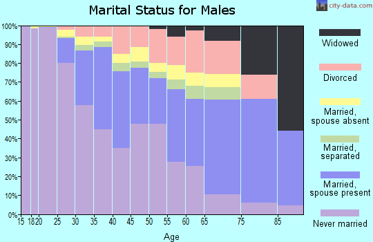 Zip code 20011 marital status for males