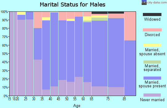 Zip code 20015 marital status for males