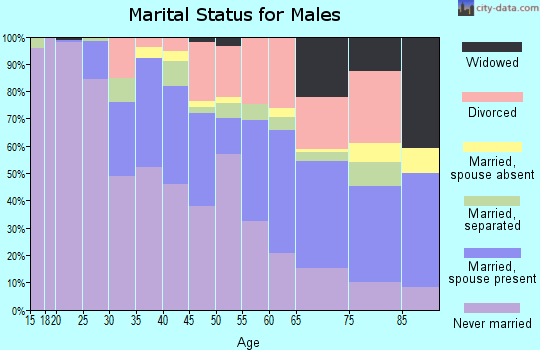Zip code 20018 marital status for males