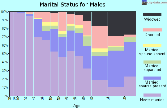 Zip code 20019 marital status for males