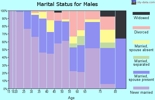 Zip code 20024 marital status for males