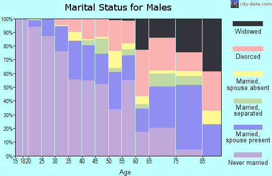 Zip code 20032 marital status for males