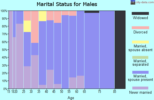 Zip code 20106 marital status for males