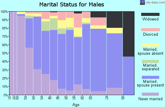 Zip code 20111 marital status