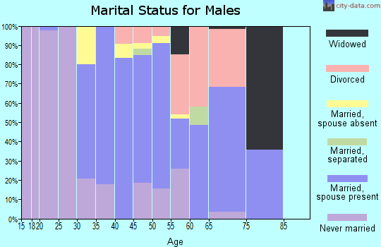 Zip code 20115 marital status for males