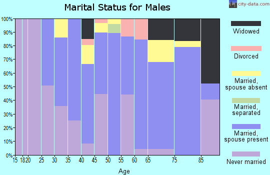Zip code 20117 marital status for males
