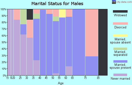 Zip code 20119 marital status for males