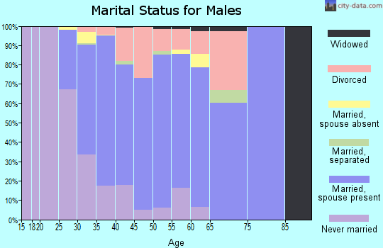 Zip code 20121 marital status for males